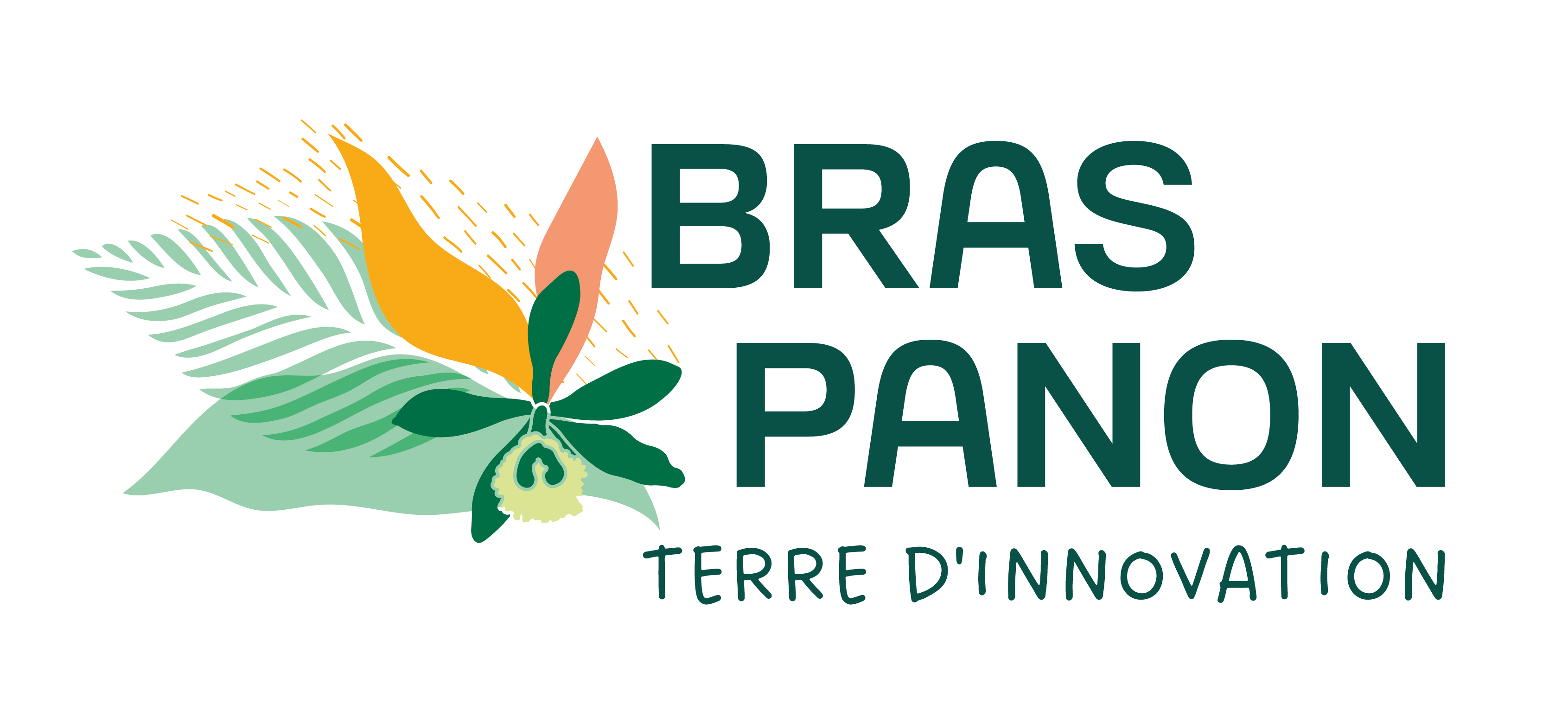 Ville de Bras-Panon